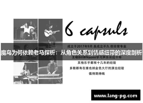 魔鸟为何依赖老马探析：从角色关系到情感纽带的深度剖析