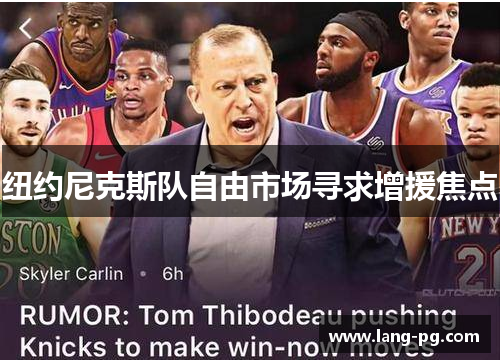 纽约尼克斯队自由市场寻求增援焦点