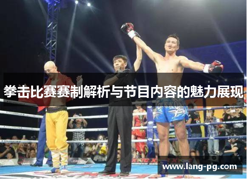 拳击比赛赛制解析与节目内容的魅力展现