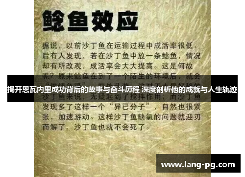 揭开恩瓦内里成功背后的故事与奋斗历程 深度剖析他的成就与人生轨迹